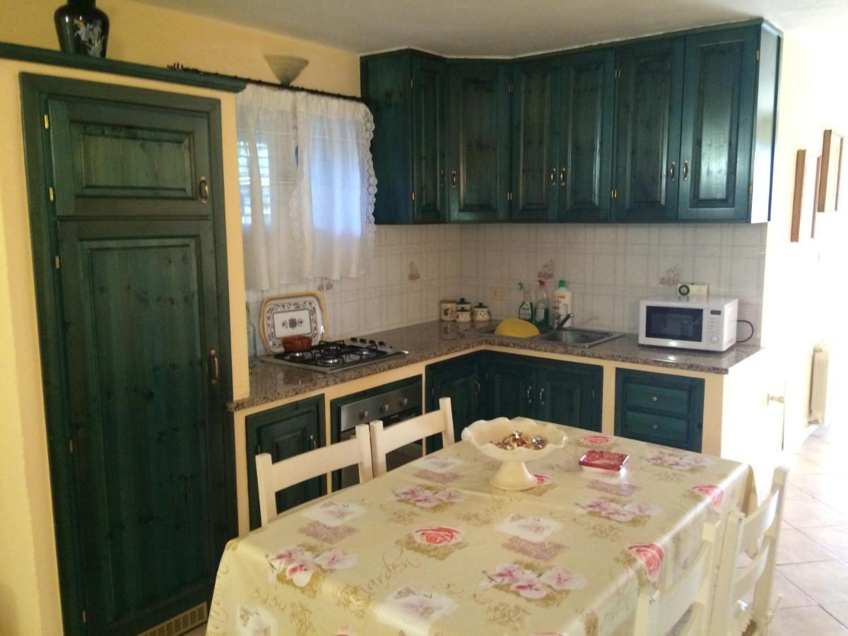 Home Matteo Budoni Kültér fotó